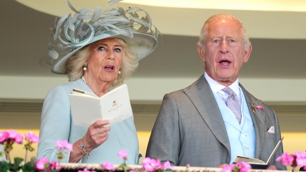 Schreckmoment f&uuml;r K&ouml;nigin Camilla und K&ouml;nig Charles III.: Unweit des royalen Landsitzes Highgrove soll eine Gro&szlig;katze ihr Unwesen treiben. (Foto)