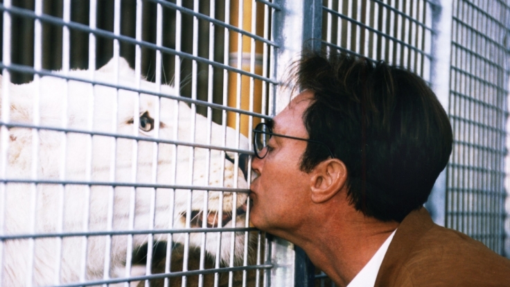Roy Horns Liebe zu den Wildkatzen war auch nach dem Tiger-Unfall ungebrochen.