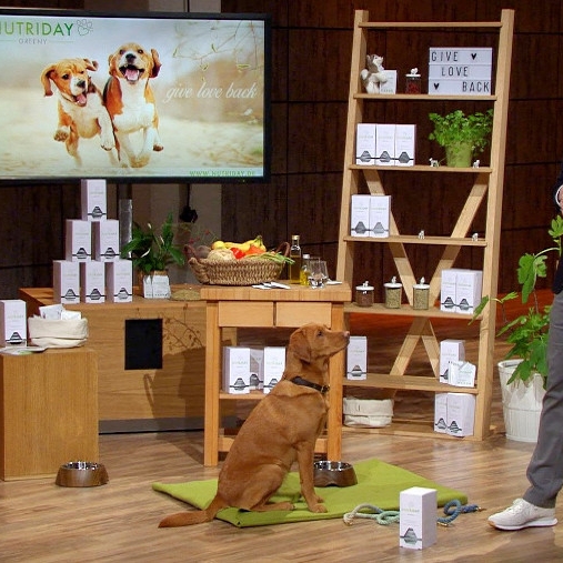 Das taugt das DHDL-Hundefutter wirklich!