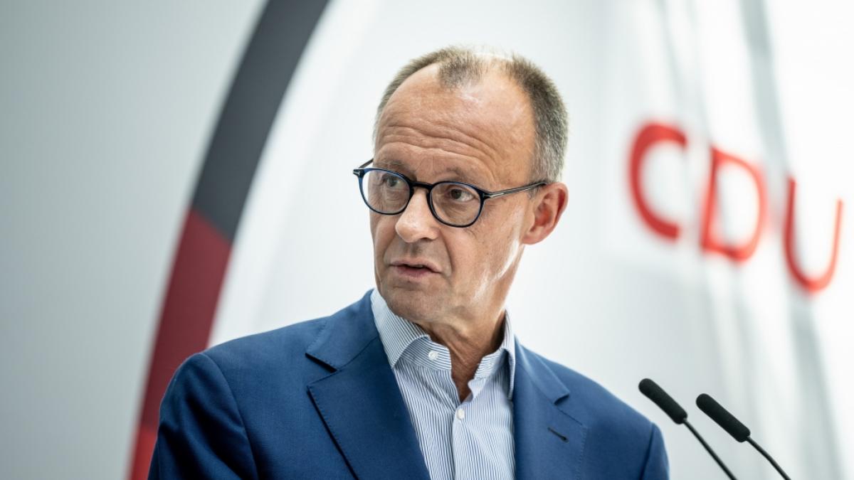 Friedrich Merz kann sich eine Kooperation mit der AfD auf kommunaler Ebene vorstellen. (Foto)