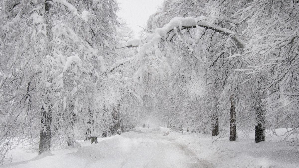 Droht uns am Wochenende winterliches Wetter? (Foto)