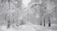 Droht uns am Wochenende winterliches Wetter?