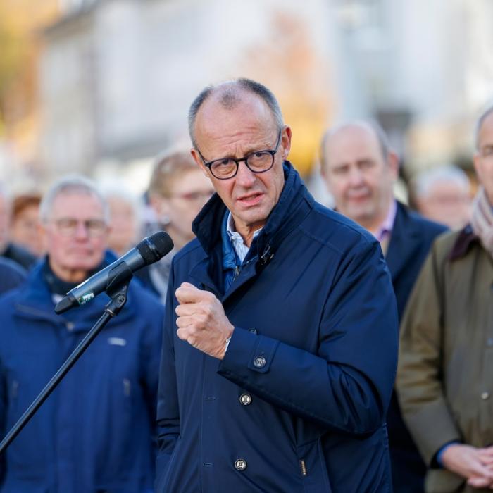 Anti-AfD-Strategie der CDU - das plant der Bundeskanzler