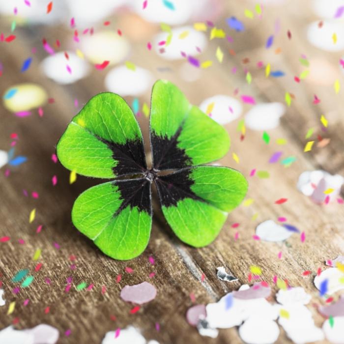 Extremer Wetterumschwung! Frühlingsgefühle an Silvester