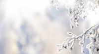 Wie wird das Wetter im Januar 2025?