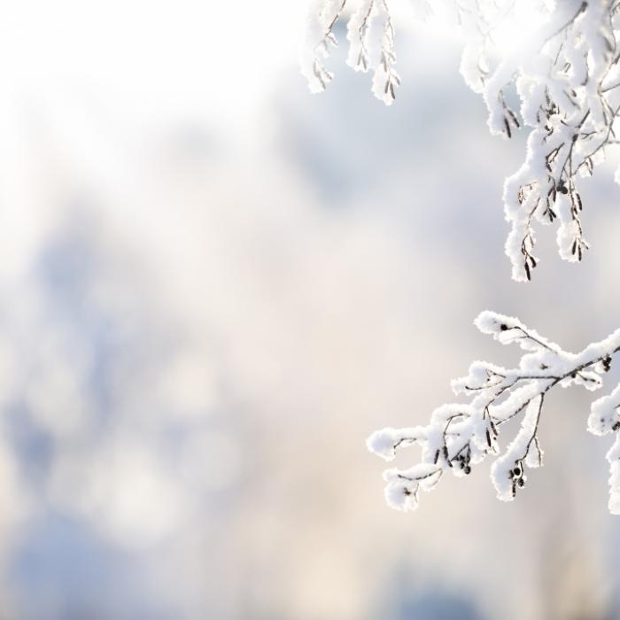 Eisige Winter-Klatsche im Januar? Das sagt der 100-jährige Kalender