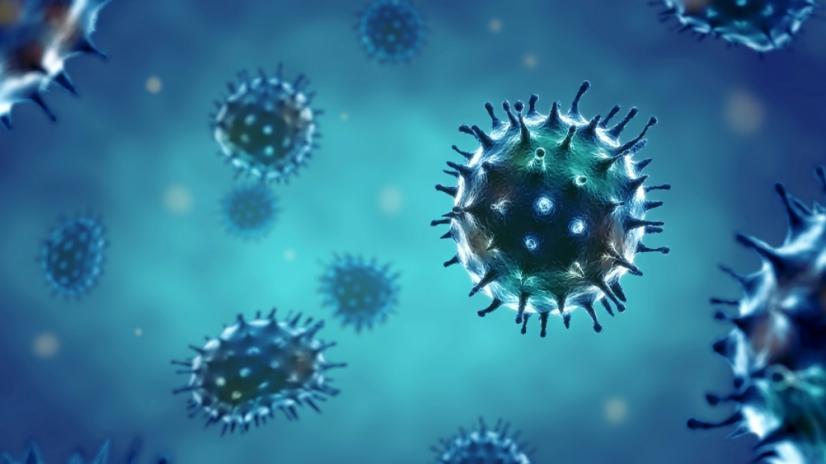 EU-Beh&ouml;rden warnen vor einer drohenden "Zwillings-Epidemie". (Foto)