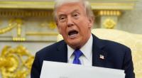 Donald Trump hat sich einmal mehr den Zorn seiner Nichte Mary zugezogen.