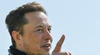 Elon Musk: Fordert Gerechtigkeit im Epstein-Fall - Trump schweigt weiter. 