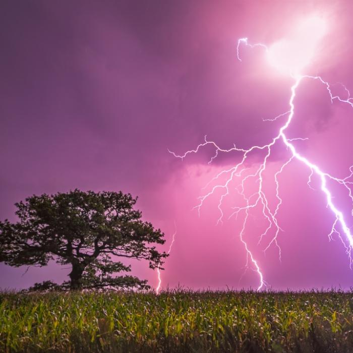 Nasser Gewitter-Sommer! Das prophezeit der 100-Jährige Kalender