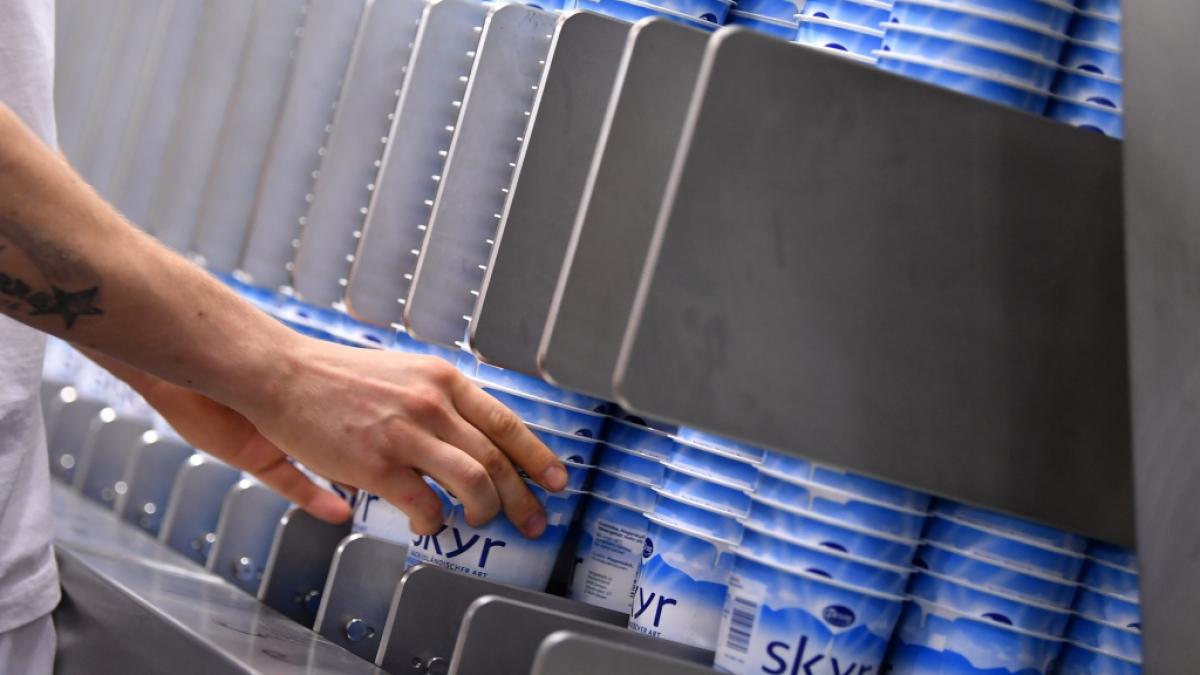 Wer im Supermarkt vor dem K&uuml;hlregal mit Molkereiprodukten steht, wird feststellen, dass Skyr nahezu &uuml;berall ausverkauft ist. Woher kommt der Hype um das isl&auml;ndische Milchprodukt? (Foto)