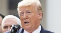 Donald Trump unterzieht das Weiße Haus aktuell einer Generalüberholung - und blamiert sich mit eklatanten Wissenslücken vor laufender Kamera.