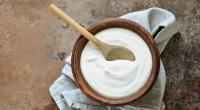 Griechischer Joghurt ist aufgrund seines Proteingehalts auch perfekt für Sportler geeignet.