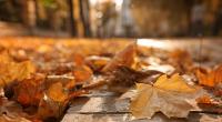 Droht im November ein Temperatursturz?