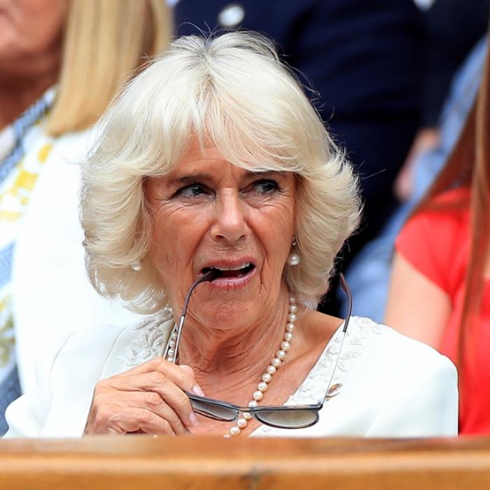 Ohne Prinz Charles ist Herzogin Camilla machtlos