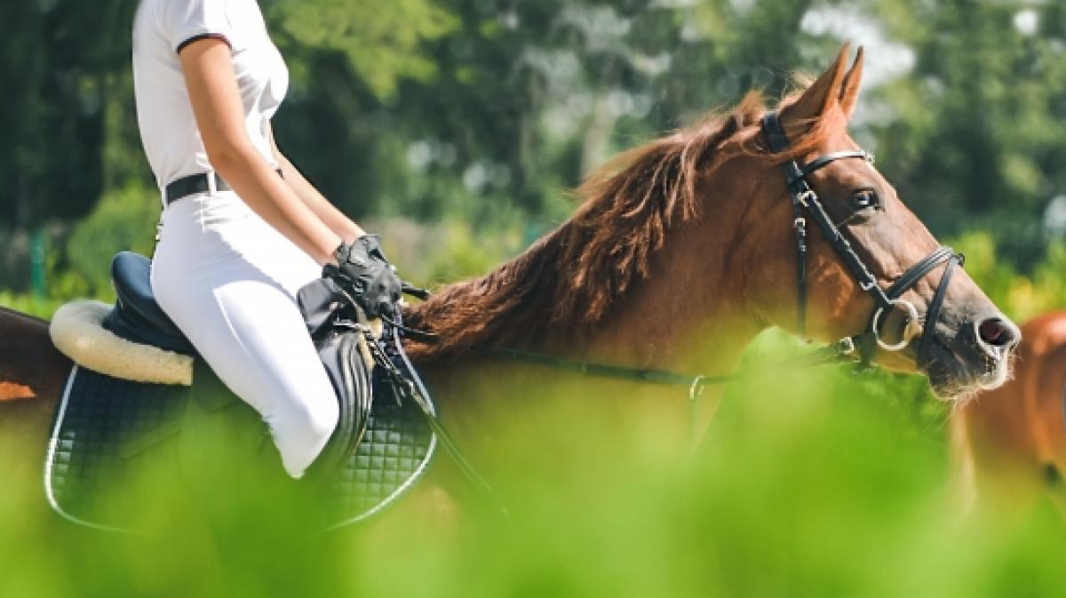 Die 18-j&auml;hrige Hannah Fitzgerald liegt nach einem Reitunfall im k&uuml;nstlichen Koma. (Foto)