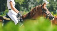 Die 18-jährige Hannah Fitzgerald liegt nach einem Reitunfall im künstlichen Koma.