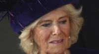 Herzogin Camilla war eifersüchtig auf Lady Dale Tryon.