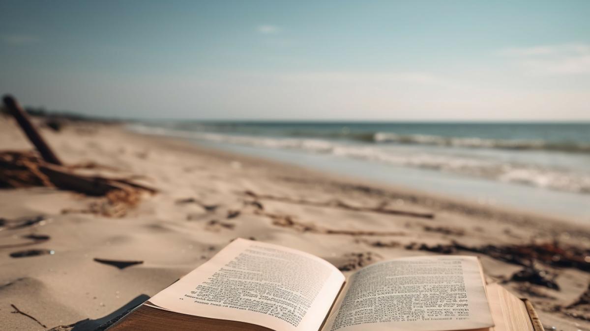 Urlaubszeit ist Lesezeit! (Foto)